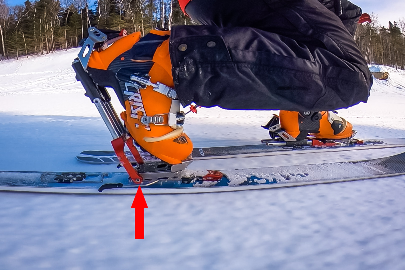 BMF Bishop Full Review | Absolute Telemark
